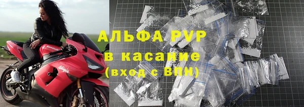 стаф Алзамай