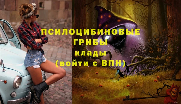 стаф Алзамай